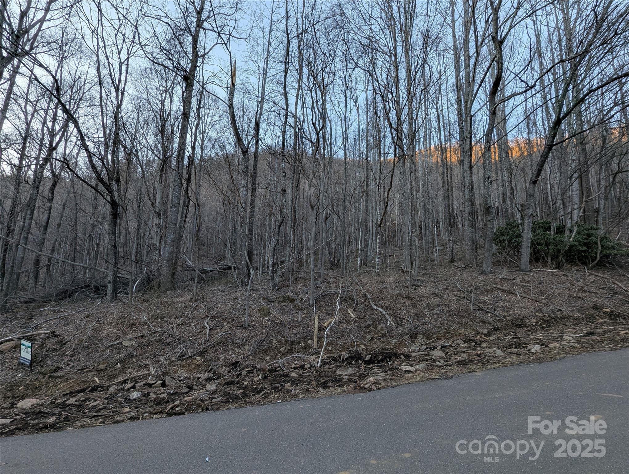 47 Wedgewood Terrace 1201