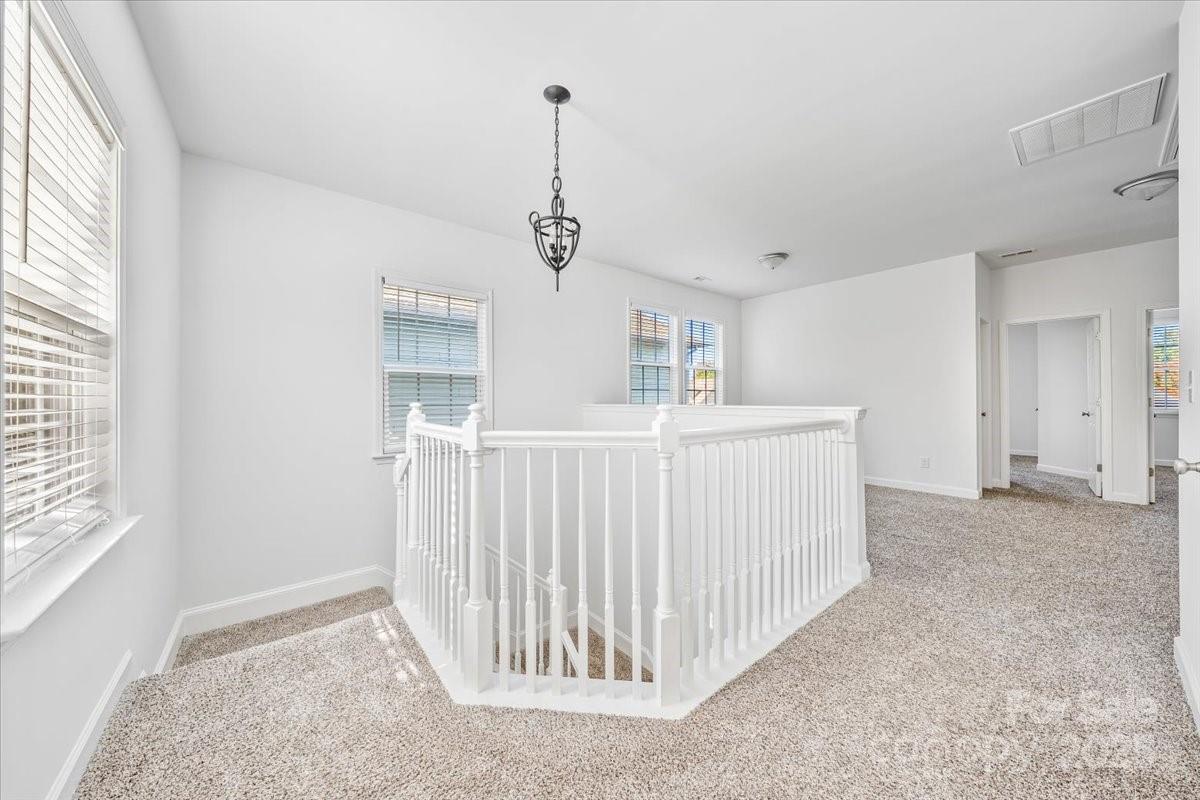 Brighton Park - Residential
