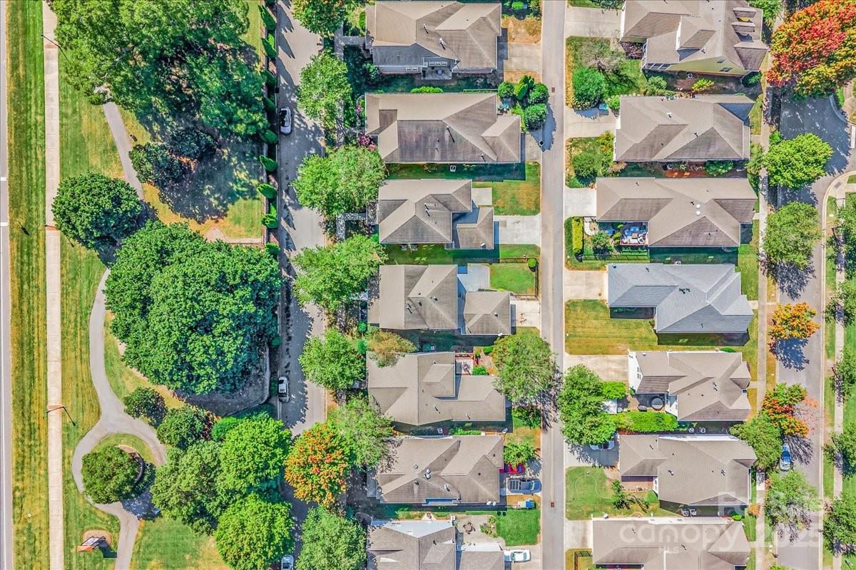 Brighton Park - Residential