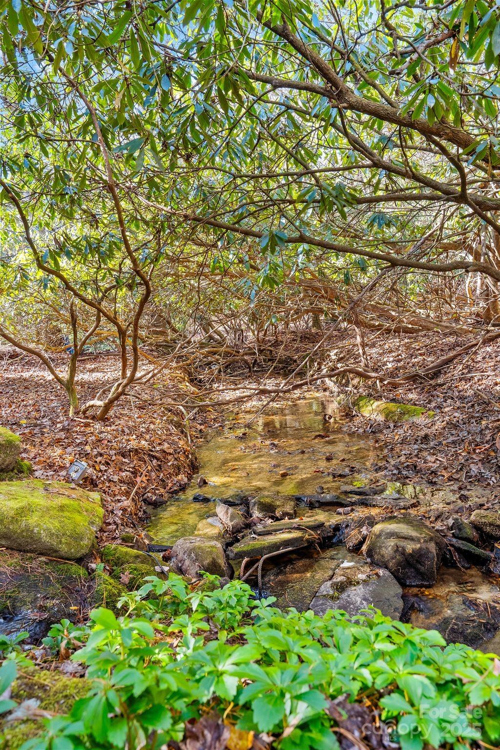 Connestee Falls - Residential