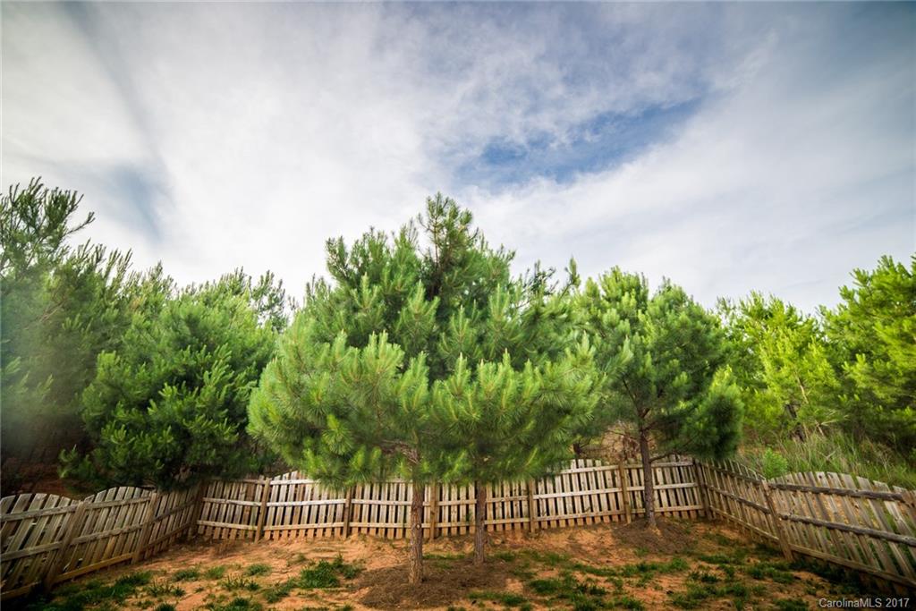 Reid Pointe - Residential