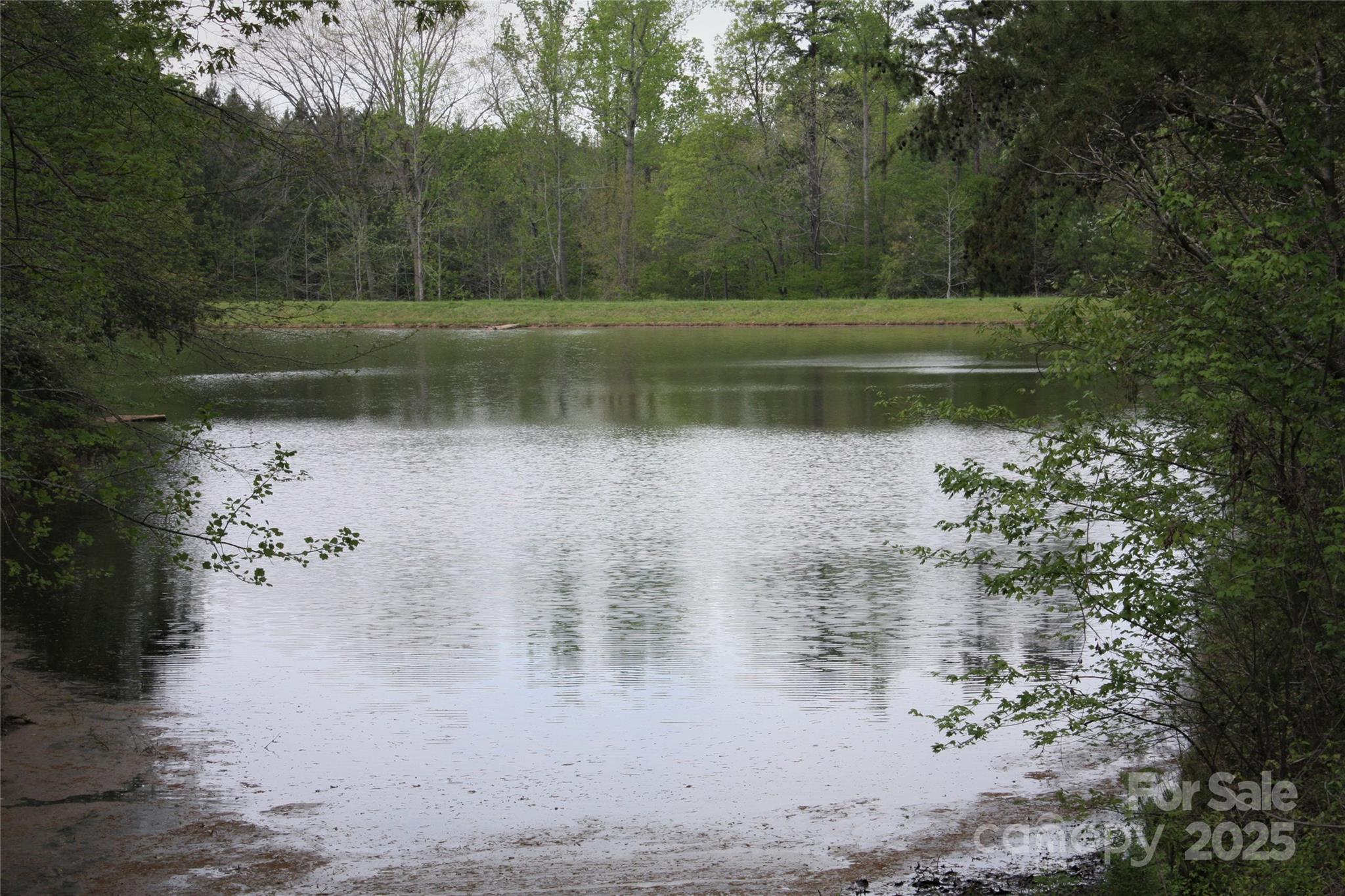808 Bellegray Road 13