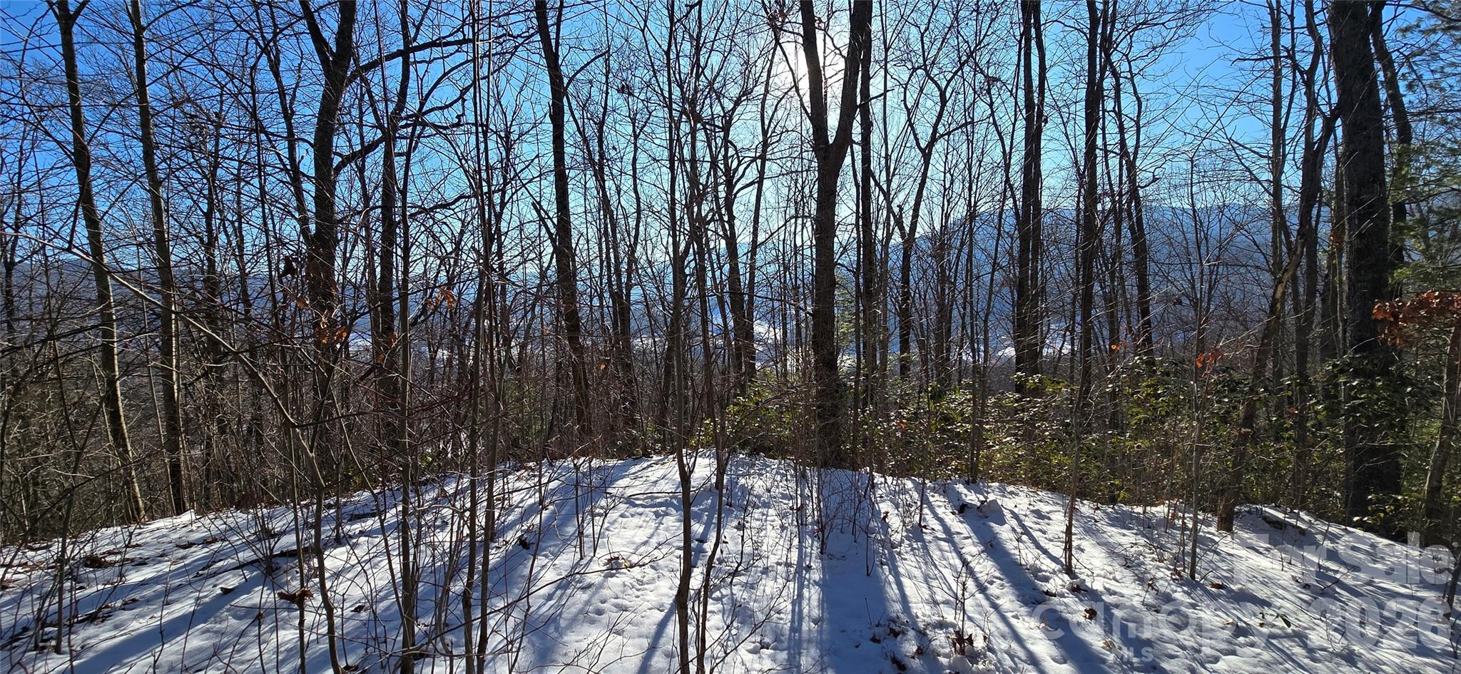 Lot 11 Bernies Trail