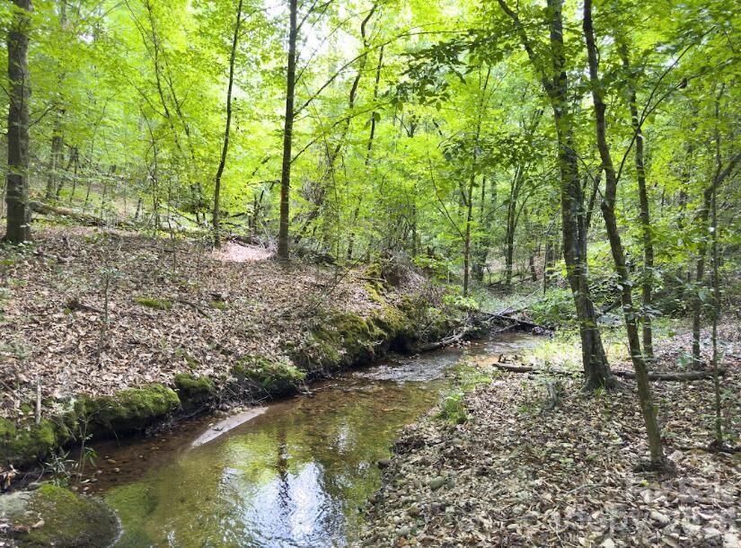 0 Old Charlotte Highway