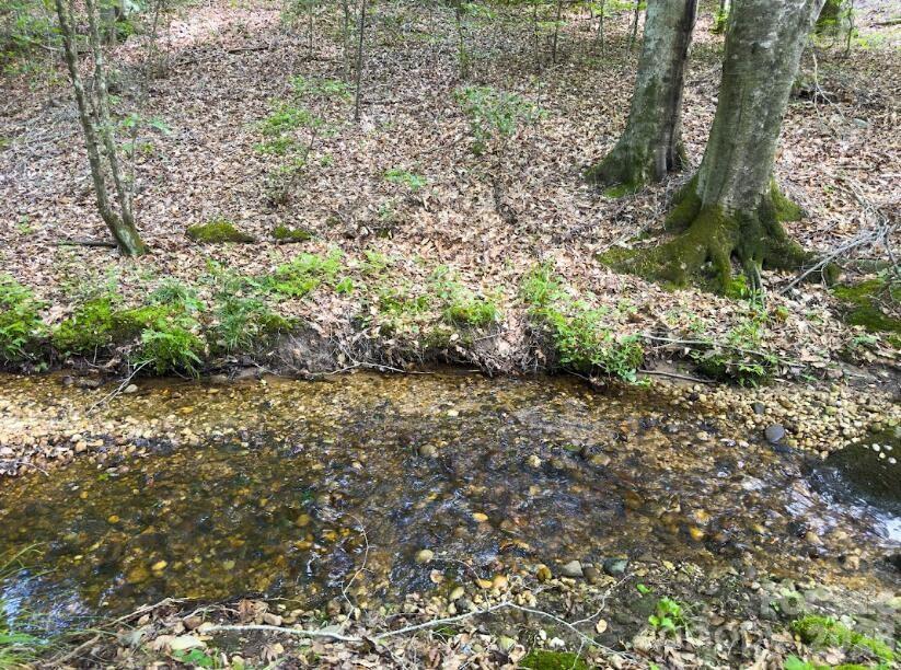 0 Old Charlotte Highway