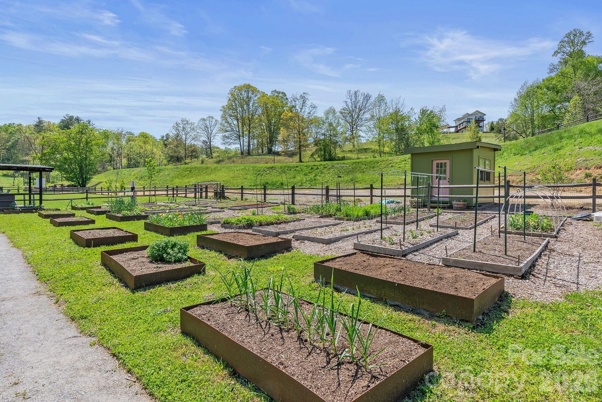 Olivette - Residential