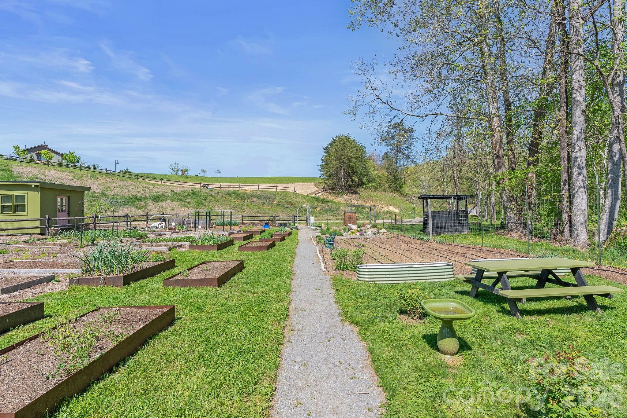 Olivette - Residential