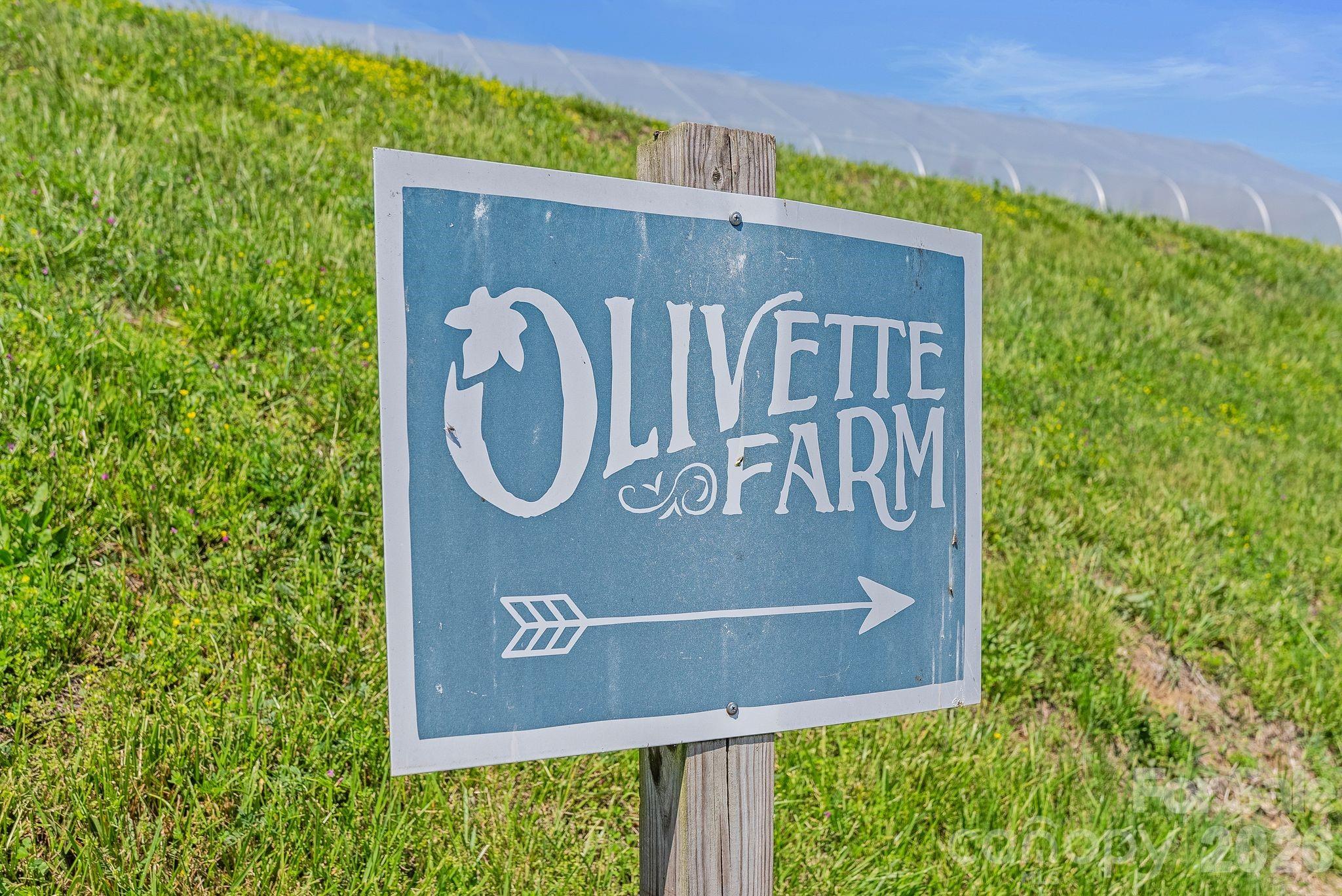 Olivette - Residential