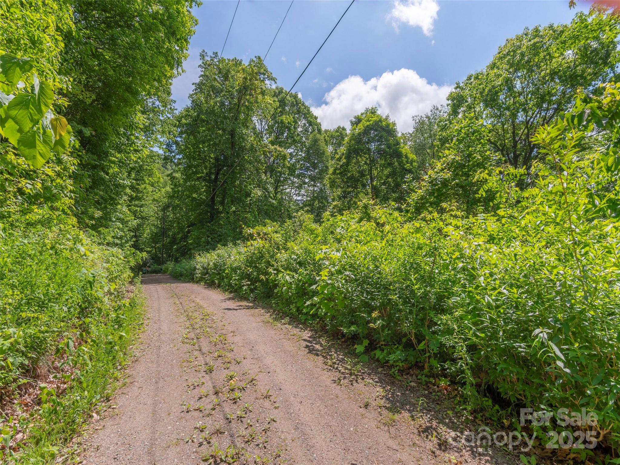 99999 Sara Ridge Road 32C