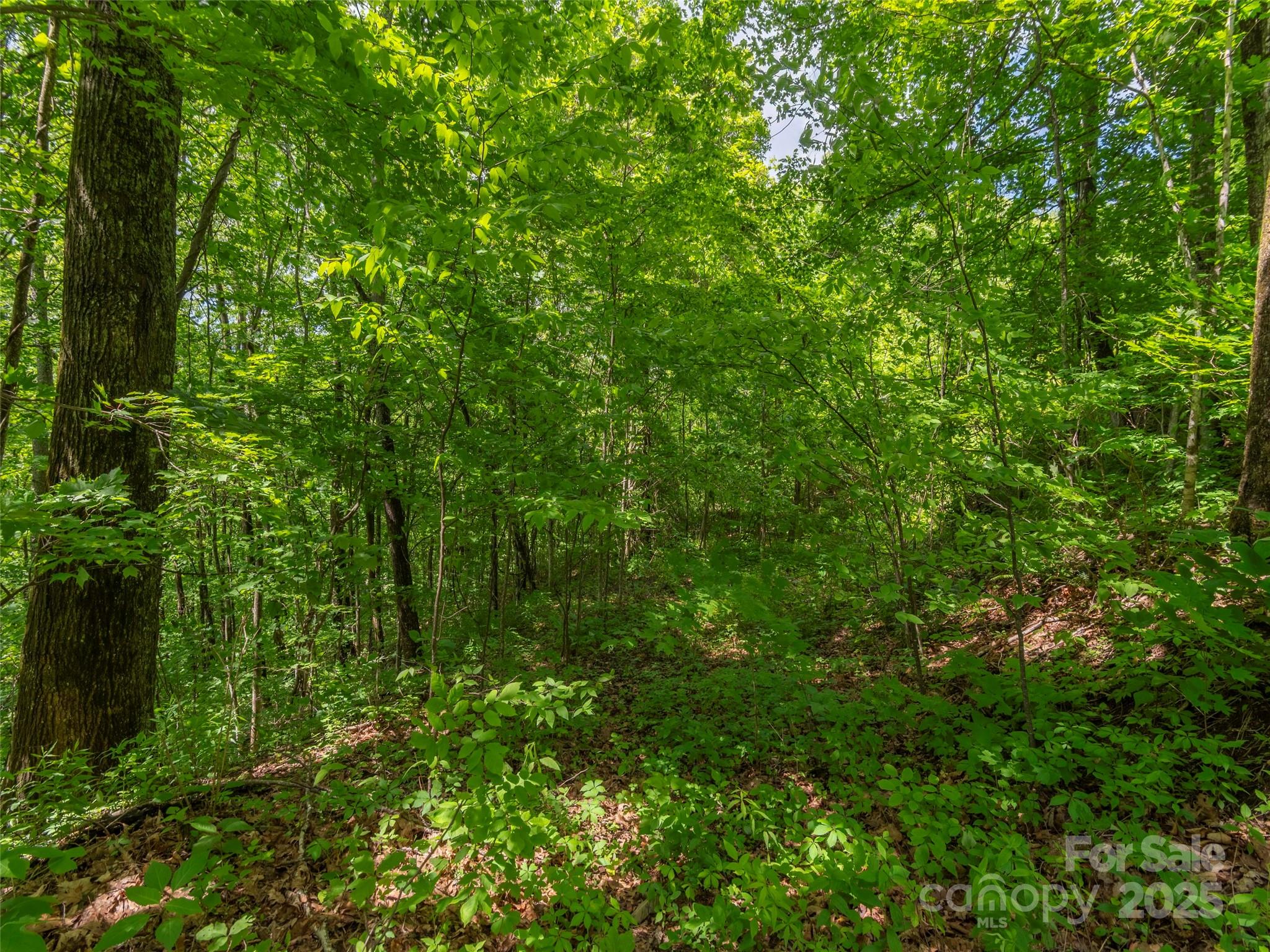 99999 Sara Ridge Road 32C