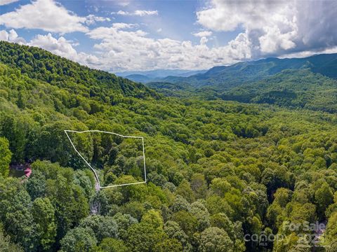 99999 Sara Ridge Road 32C Waynesville NC 28786