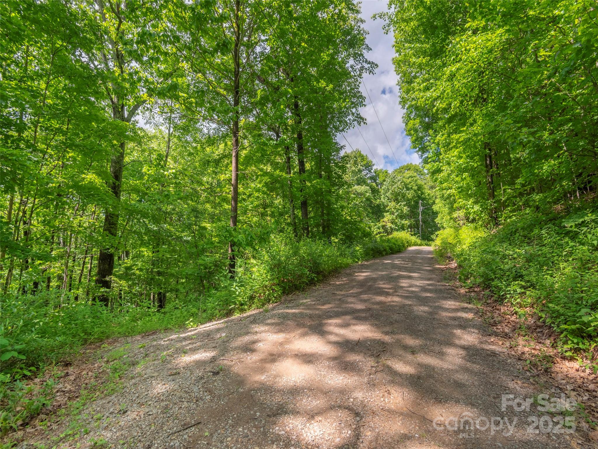 99999 Sara Ridge Road 32C