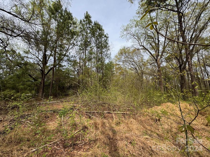 Hard to find land / parcel zoned for Commercial / Light Industrial (LI) zoning in Fort Mill / York County SC. Almost one acre of flat developable land. Centrally located in the heart of Fort Mill. Close proximity to I-77 and 485. Easy Access to North Carolina and South Carolina. Many business types are permitted for this location. Your business could be the perfect fit. Permitted uses are available at York County LI zoning district guidelines.