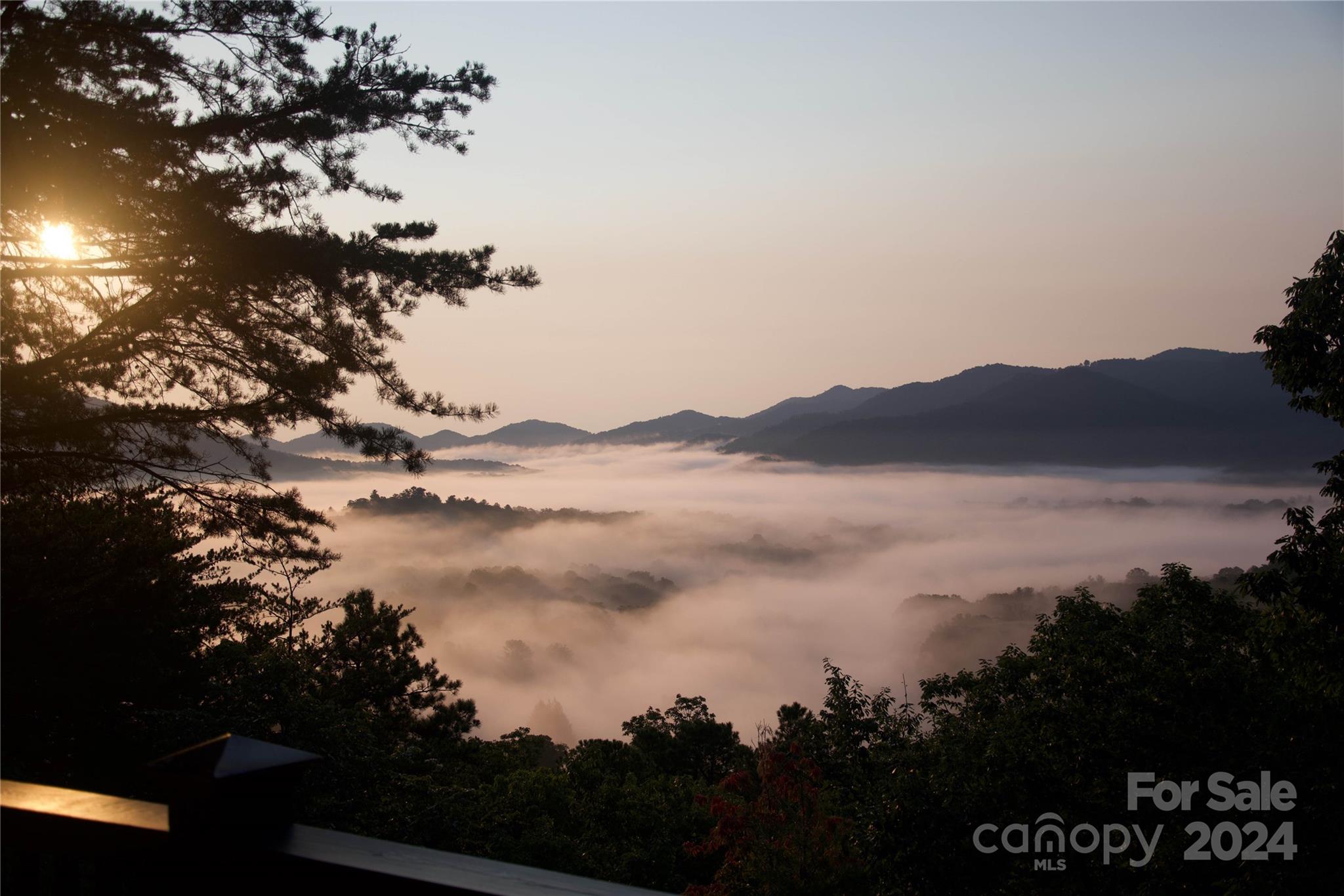 The Ridge at Black Mtn Estates - Residential