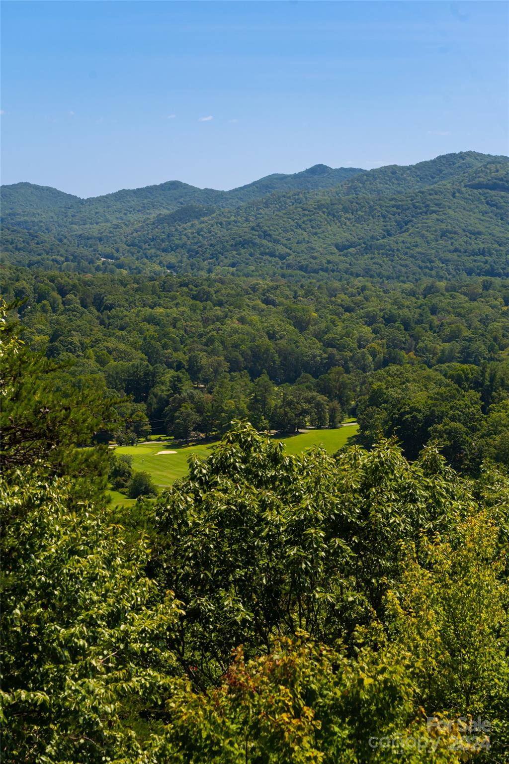 The Ridge at Black Mtn Estates - Residential