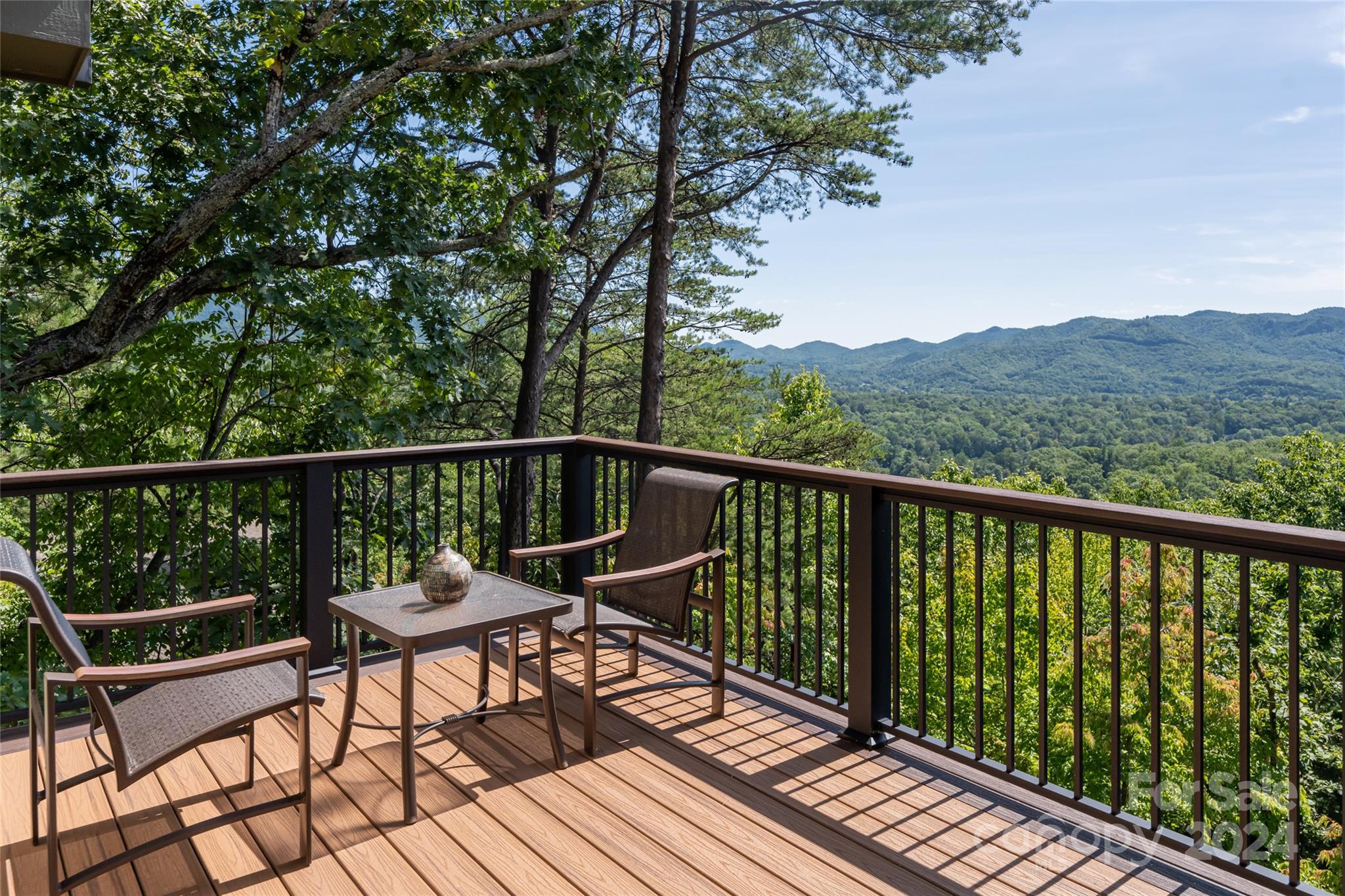 The Ridge at Black Mtn Estates - Residential