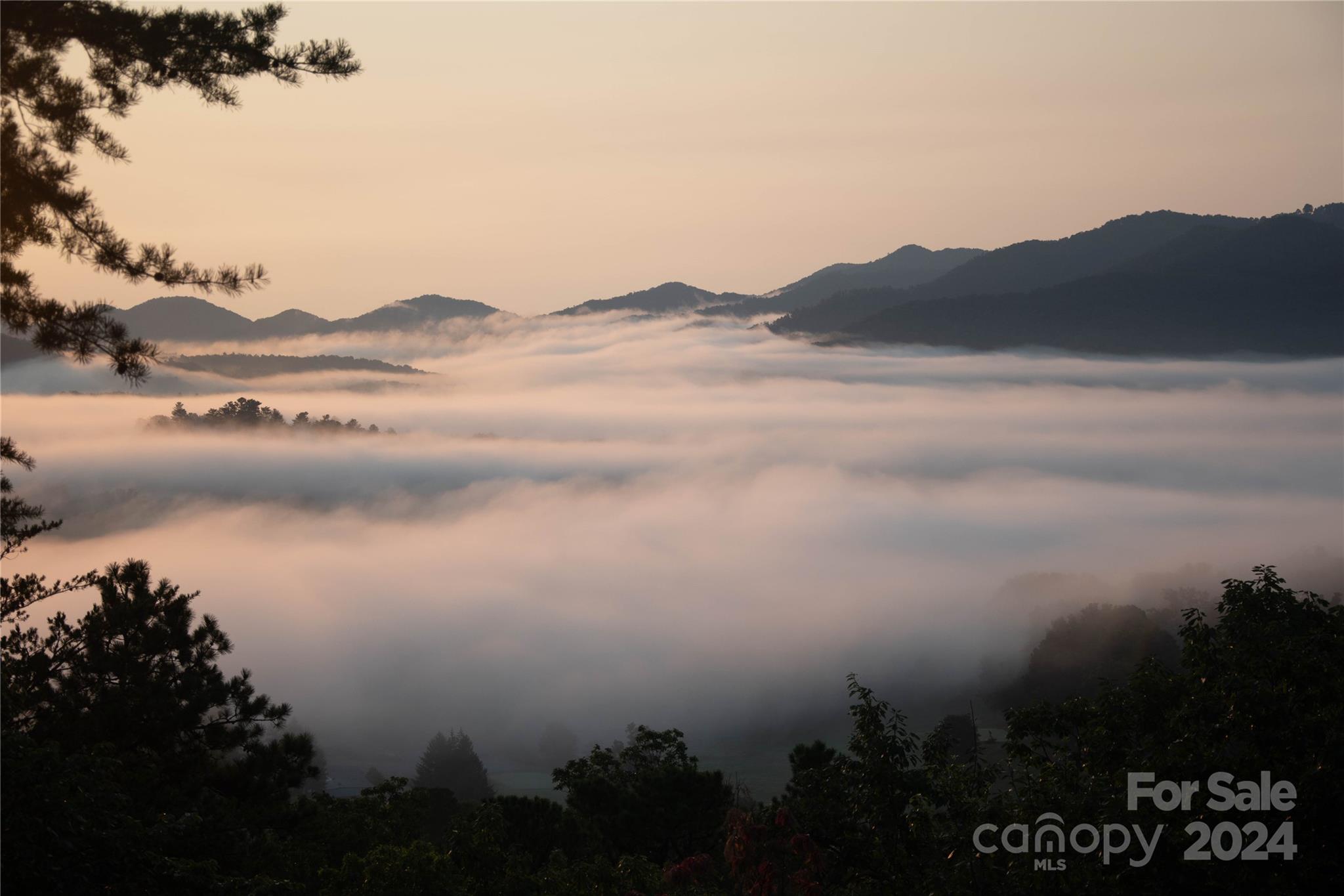 The Ridge at Black Mtn Estates - Residential