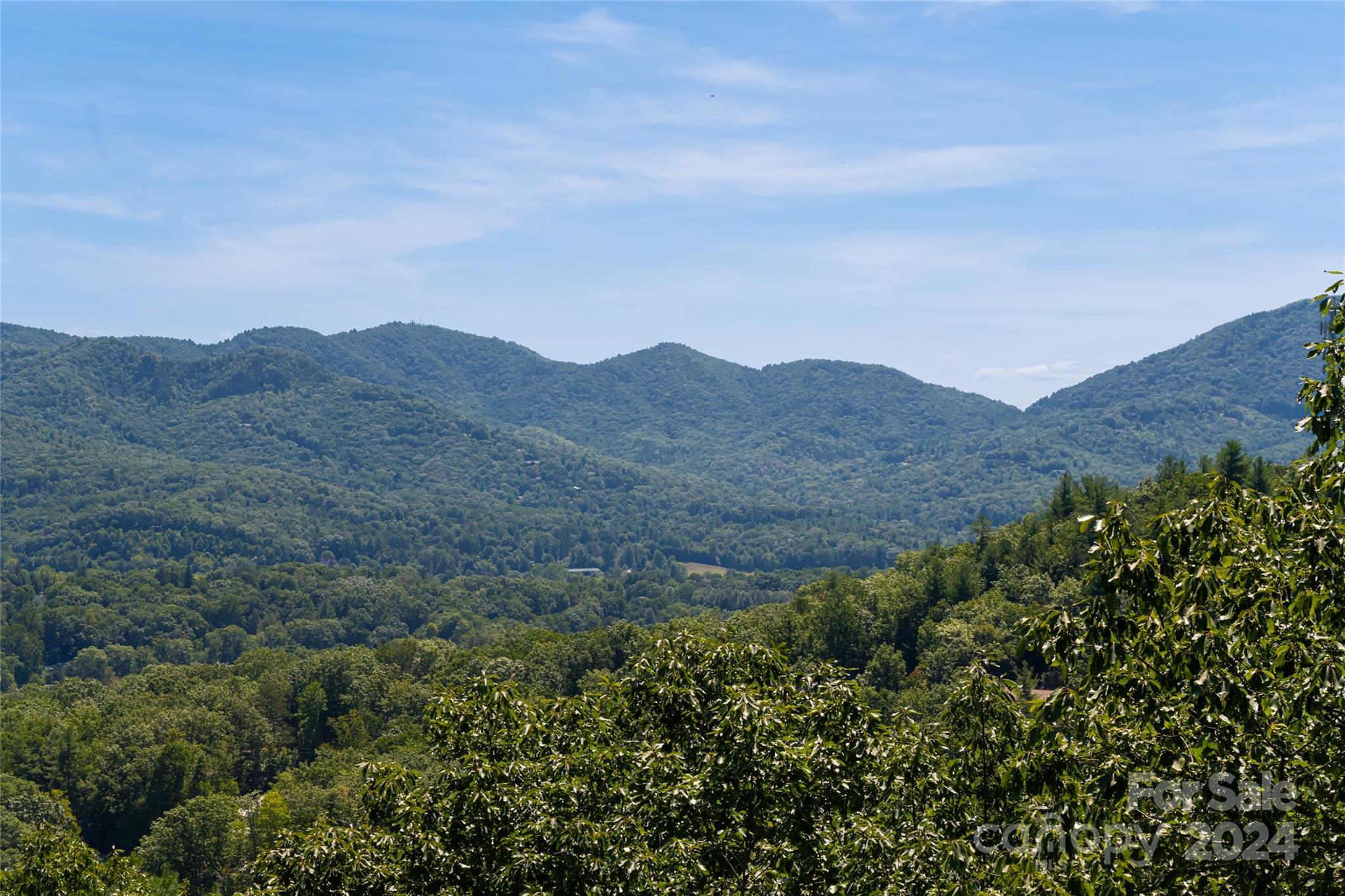 The Ridge at Black Mtn Estates - Residential