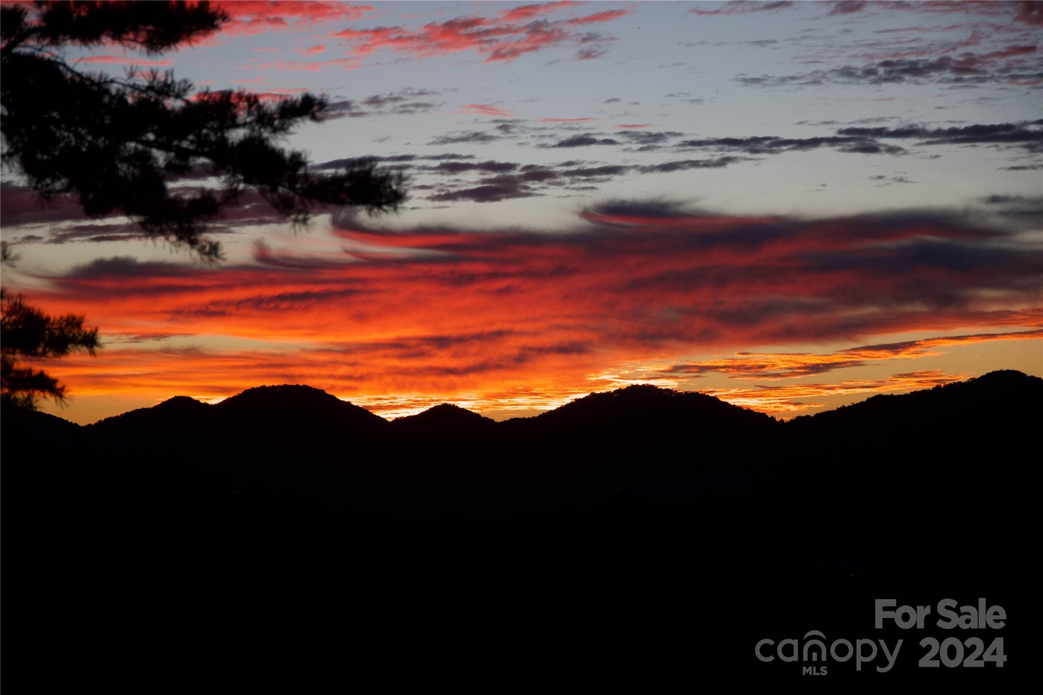 The Ridge at Black Mtn Estates - Residential