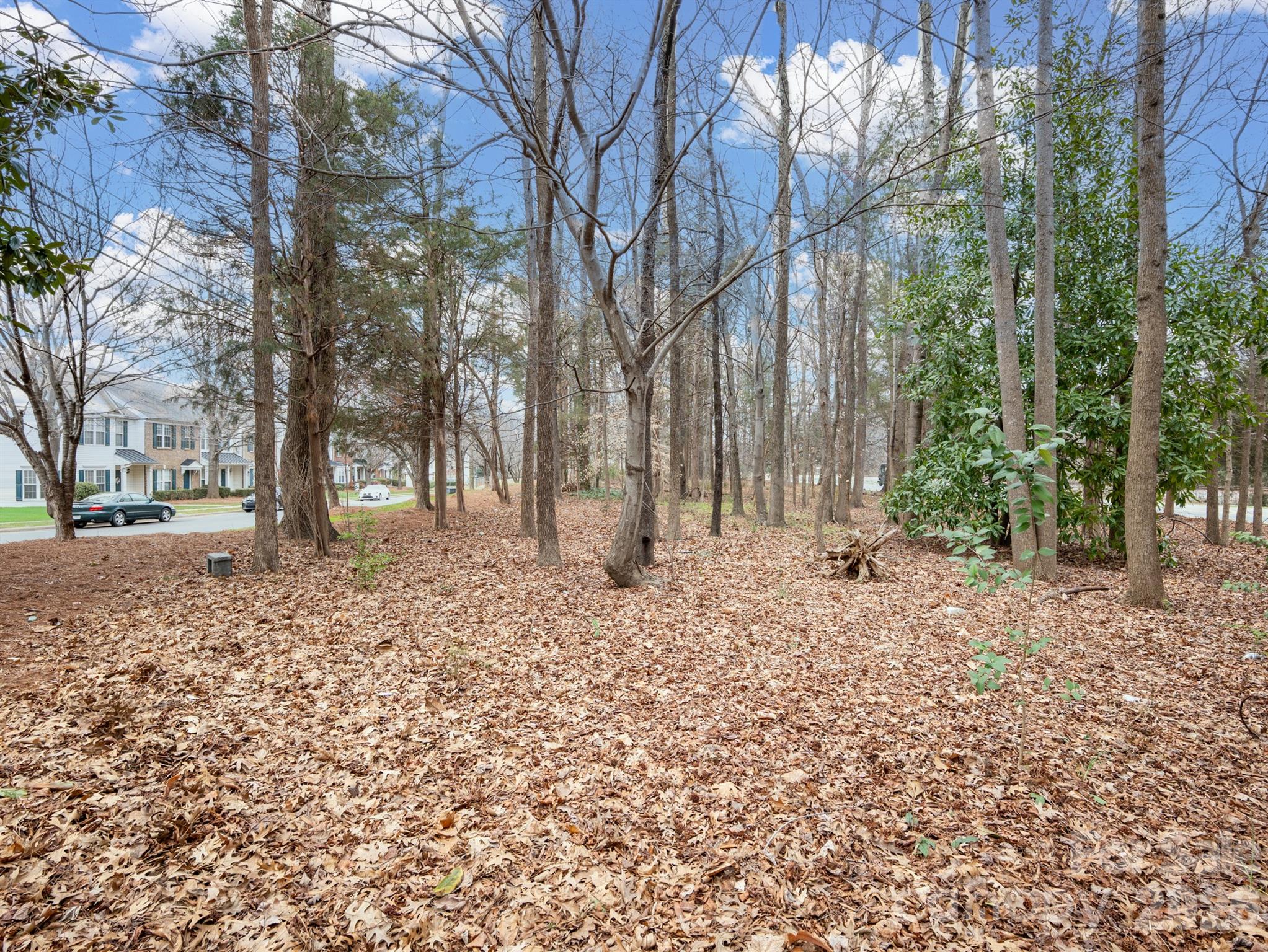 Newell Crossing - Residential