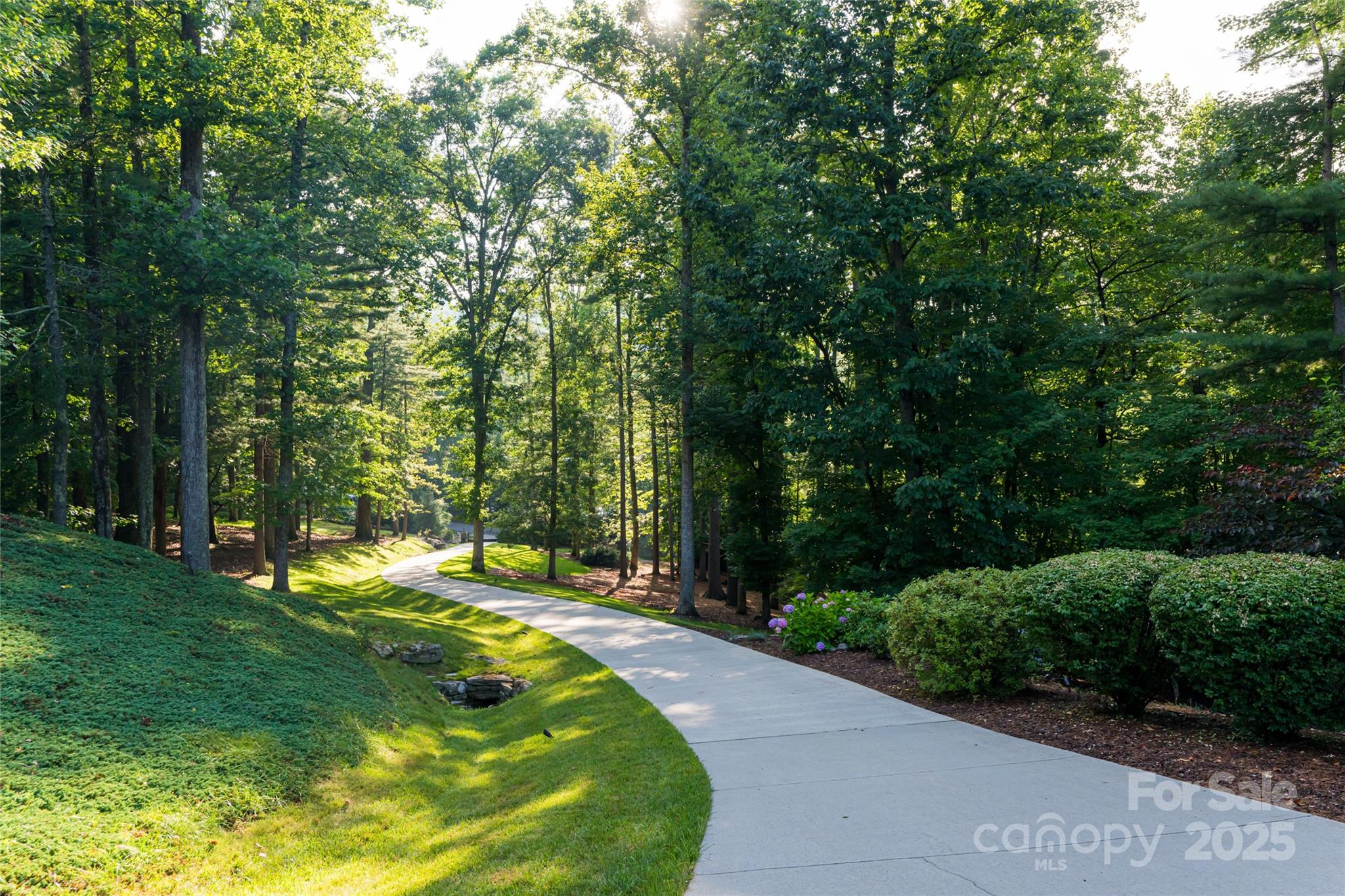 300 White Pine Drive