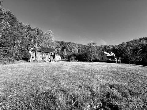 223 Shope Creek Road Asheville NC 28805
