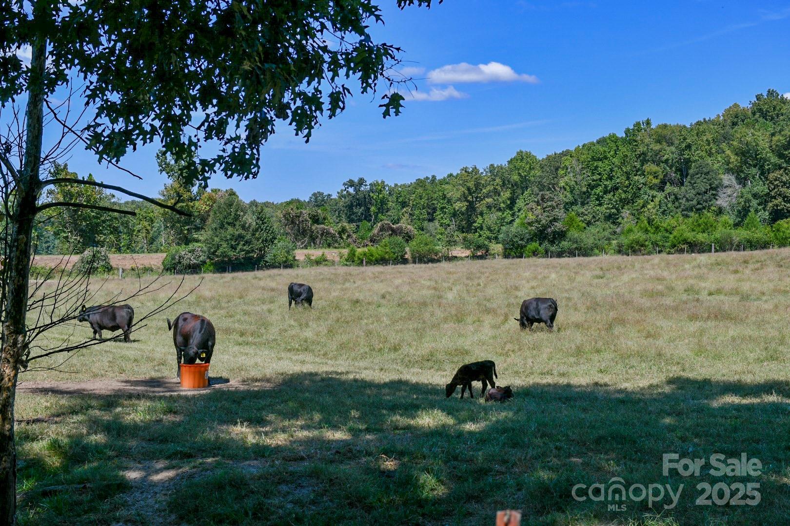 3539 SC Hwy 97 Highway