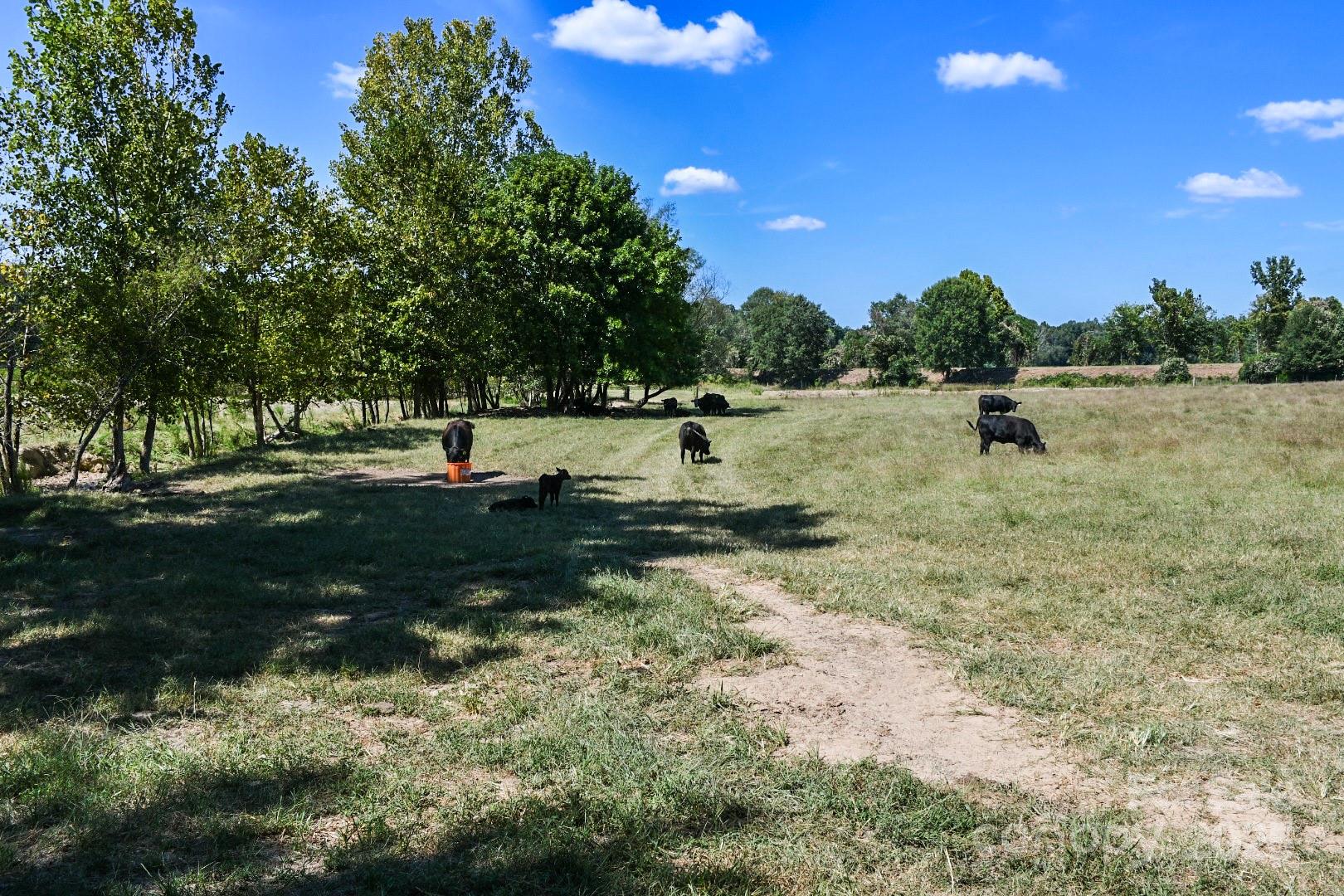 3539 SC Hwy 97 Highway