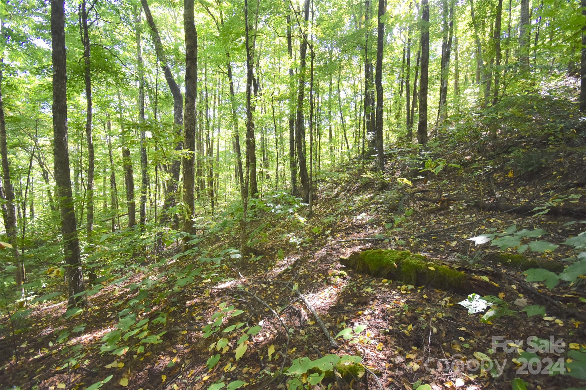 0 Chimney Ridge Trail 131