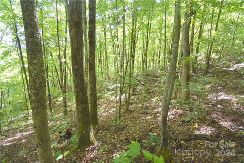 0 Chimney Ridge Trail 131 Waynesville NC 28786