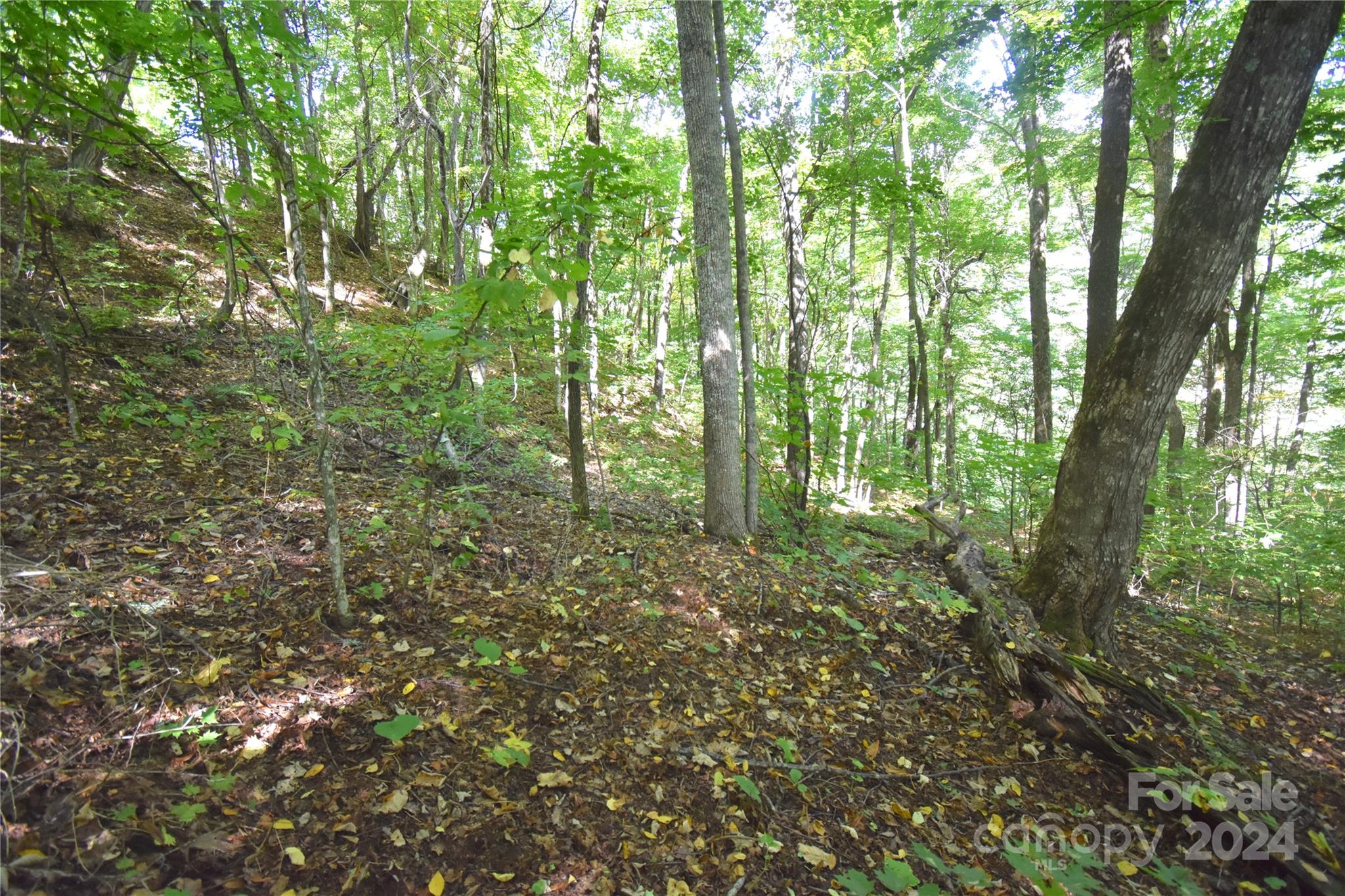 0 Chimney Ridge Trail 131