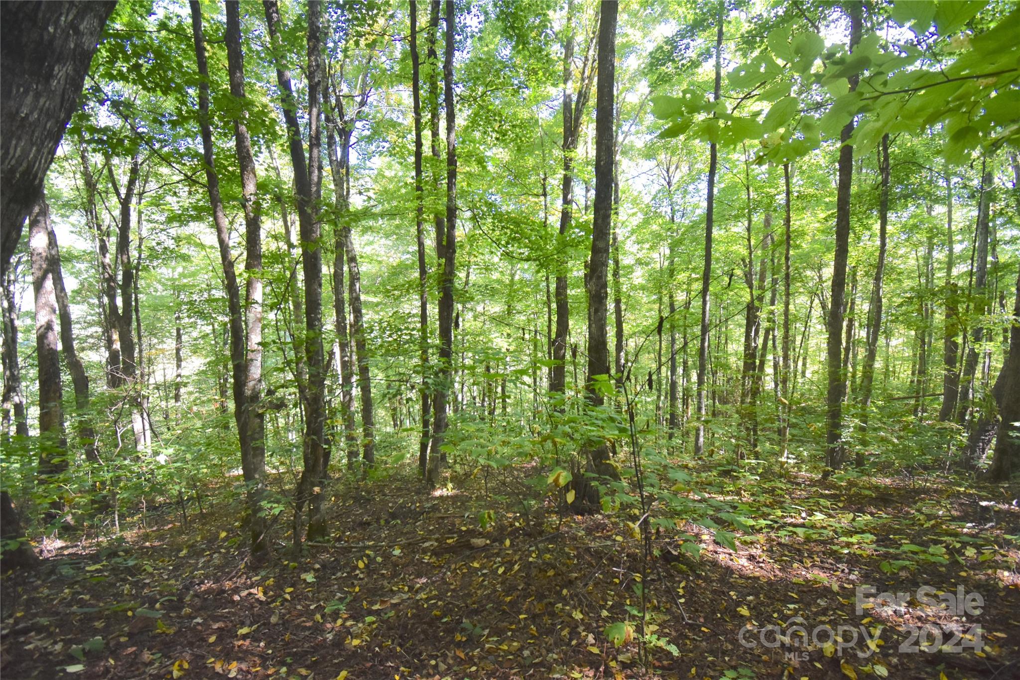 0 Chimney Ridge Trail 131