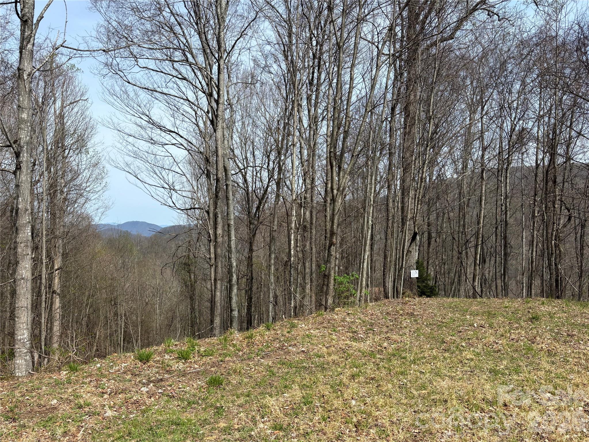 (East Lot) Meadow Fork Road