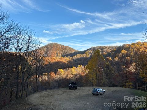 (East Lot) Meadow Fork Road Hot Springs NC 28743