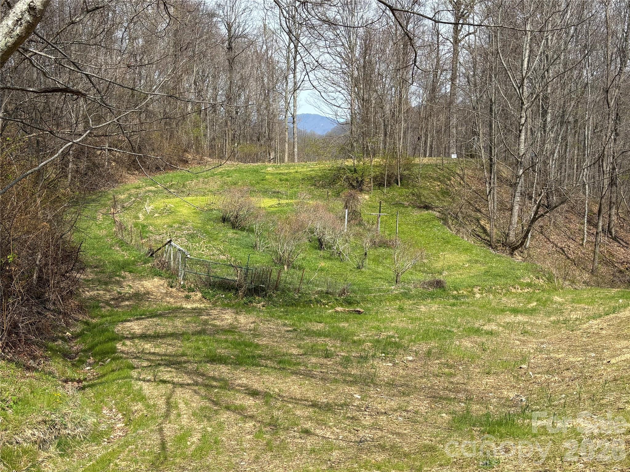 (East Lot) Meadow Fork Road