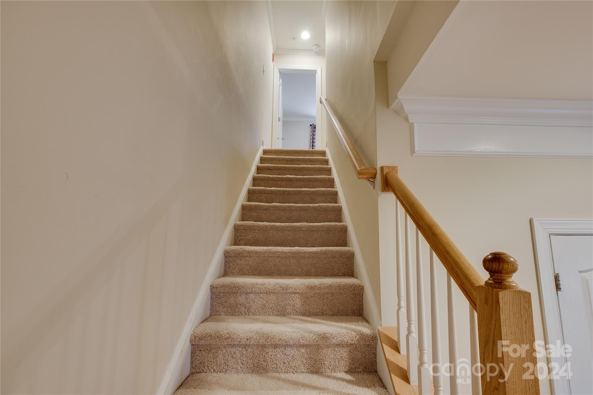 Adare Townhomes - Residential