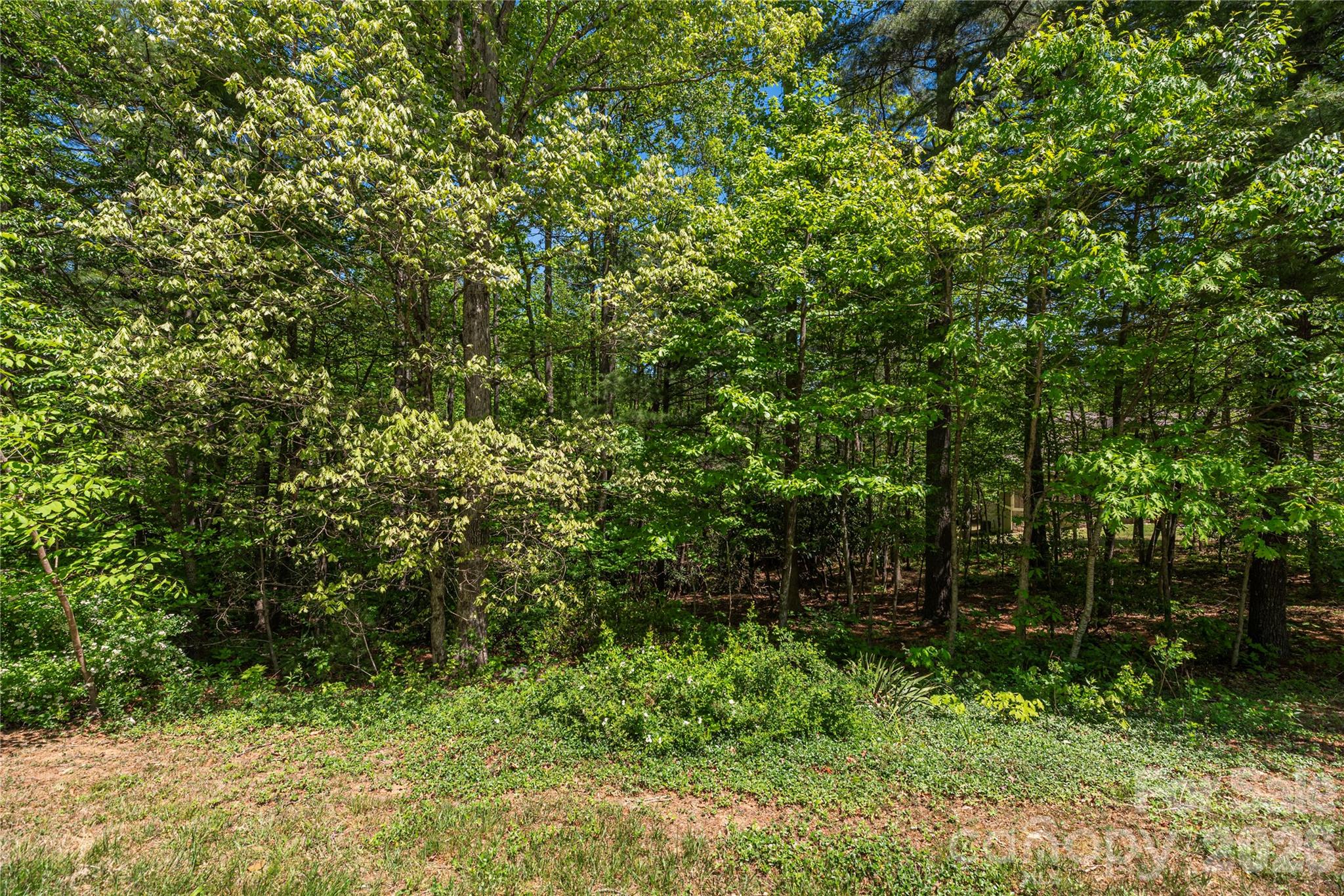 305 Freedom Trail Court