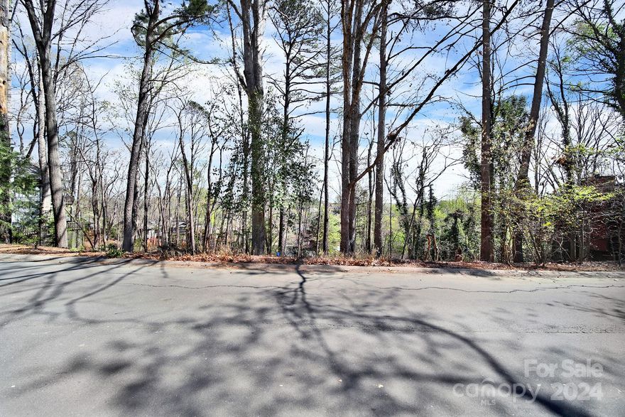 One of the few remaining undeveloped lots on the "peninsula" side of Tega Cay! It's most desirable areas! Just a short golf cart ride to the club house and Tega Cay Golf Course! Enjoy all the peninsula side of Tega Cay has to offer! Windjammer Beach, Tega Cay Marina and boat launch, walking trails, soccer and other ball fields and so much more! Enjoy the convenience of shopping and dining, gyms and fitness centers and I-77 just minutes away! This lot is a great wooded basement lot! The street is quiet and the golf course is across the street! Come and check this one out!