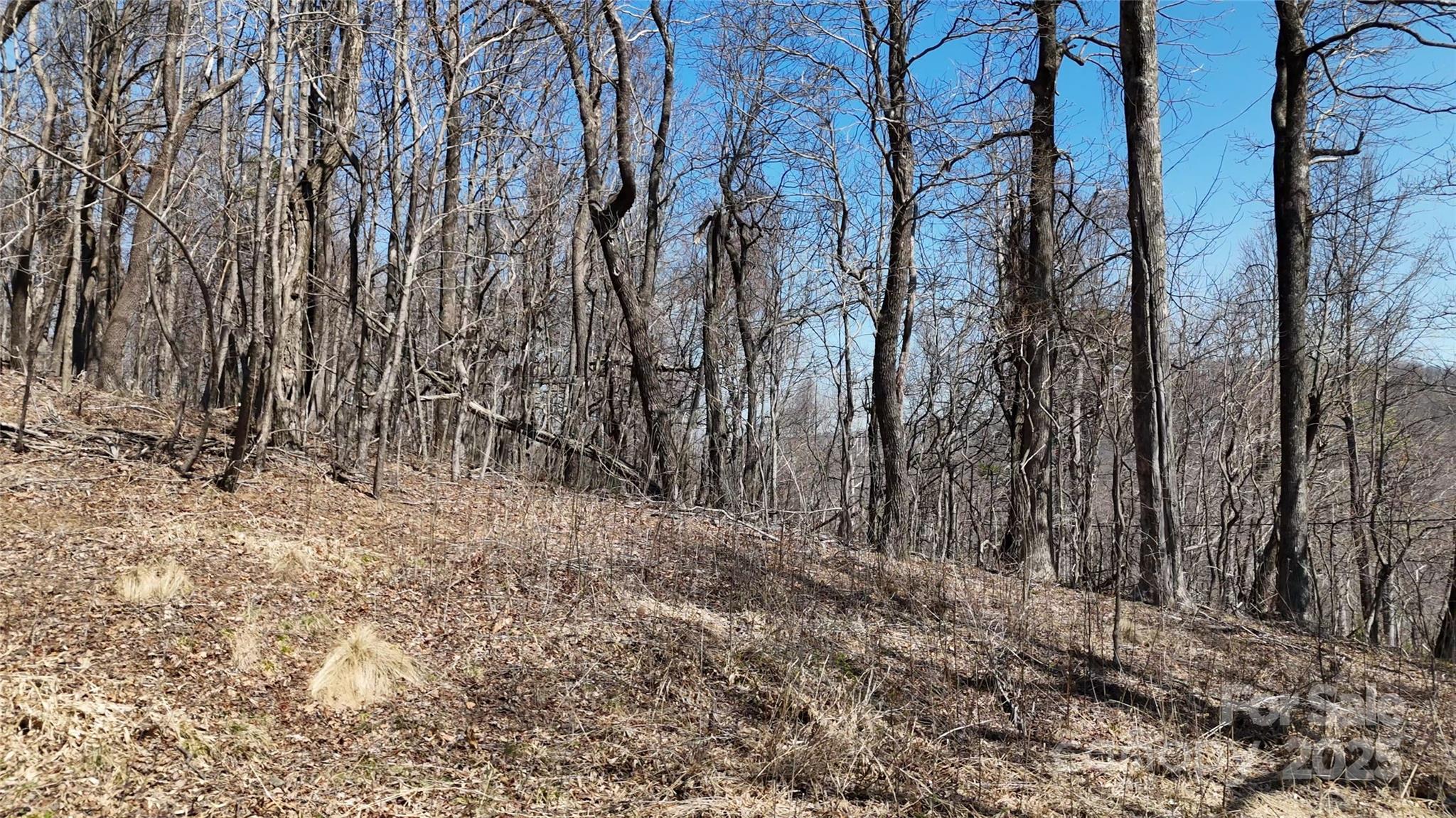 White Oak Mountain - Land