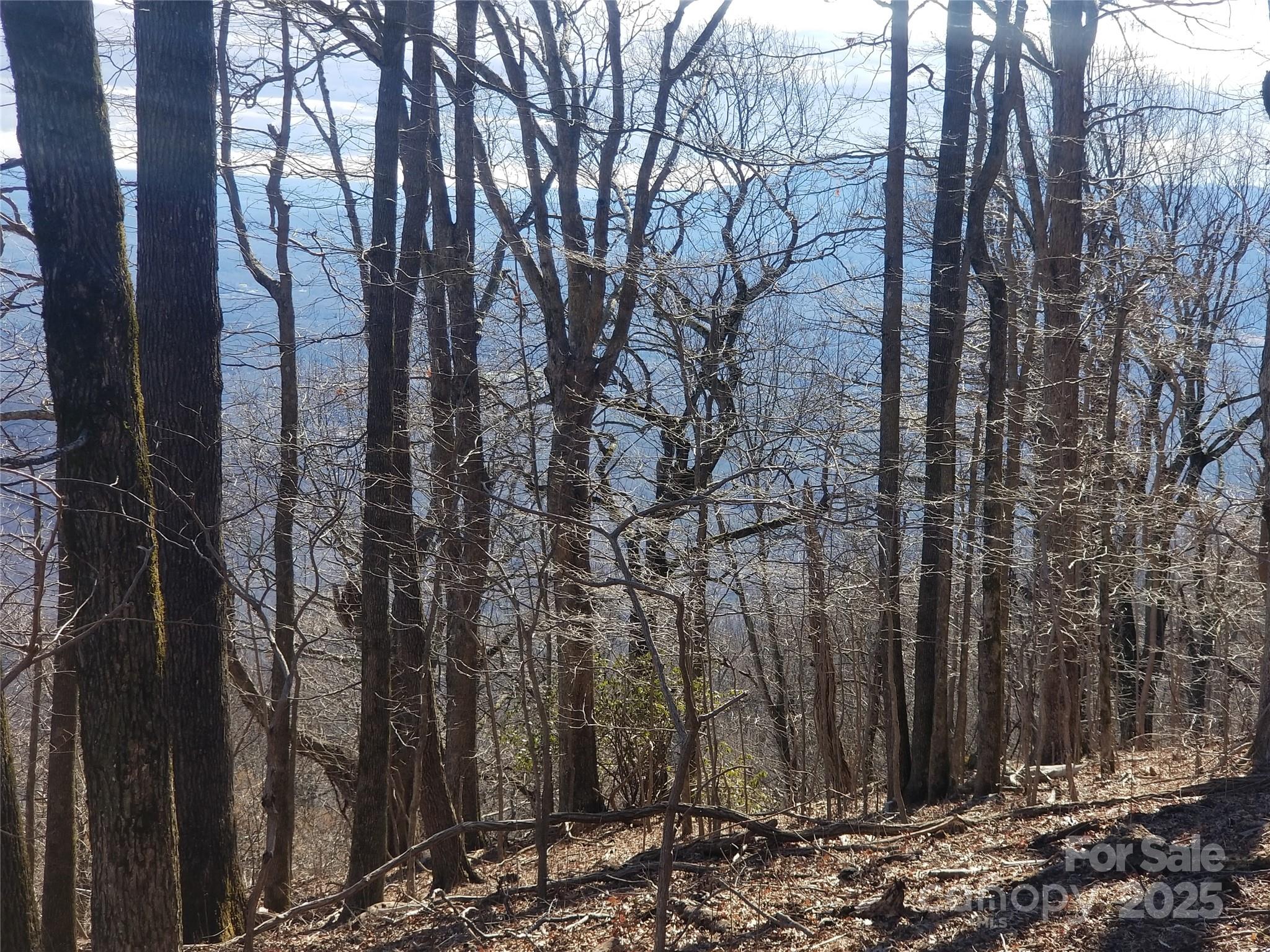 White Oak Mountain - Land