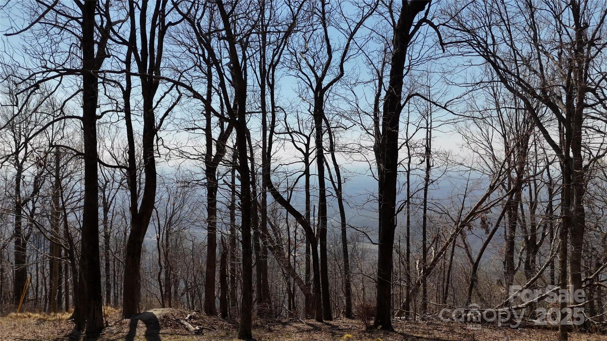 White Oak Mountain - Land