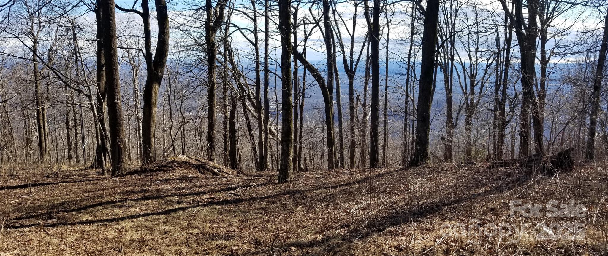 White Oak Mountain - Land