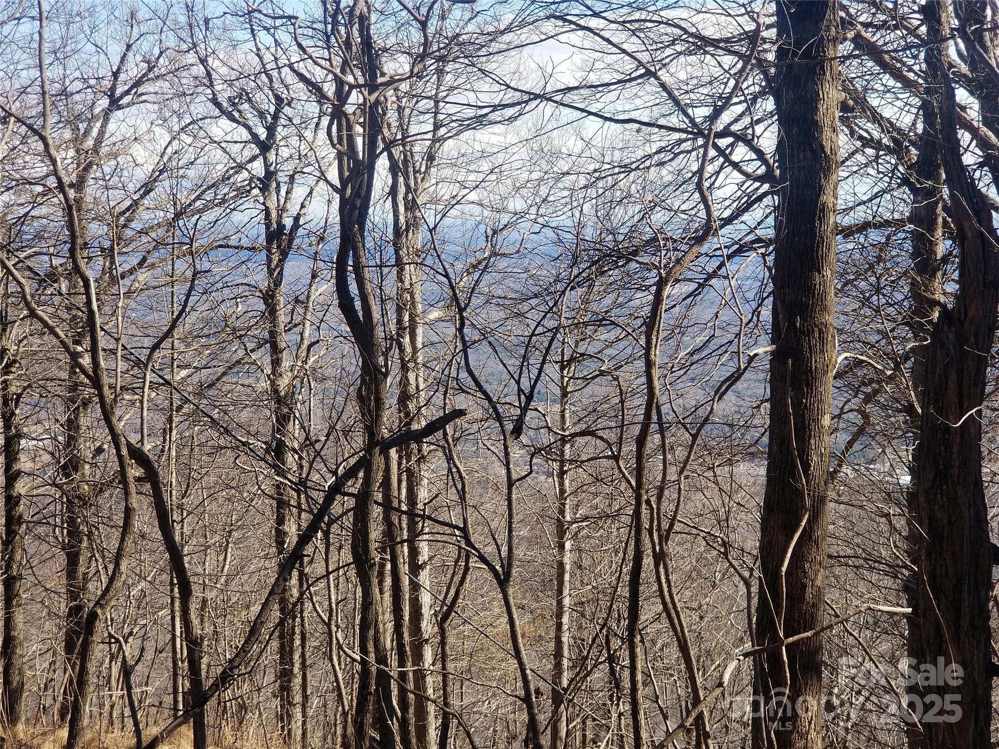 White Oak Mountain - Land