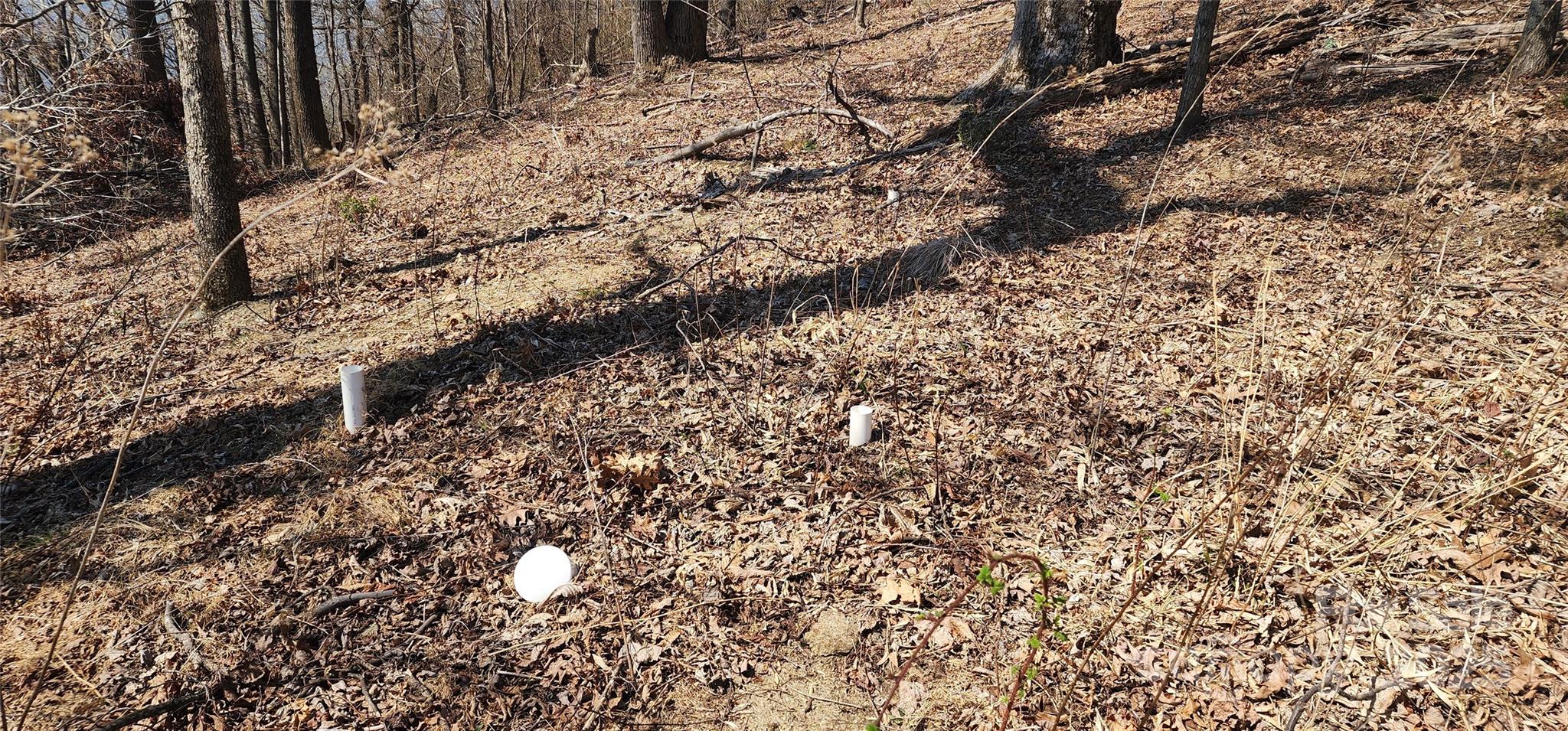 White Oak Mountain - Land