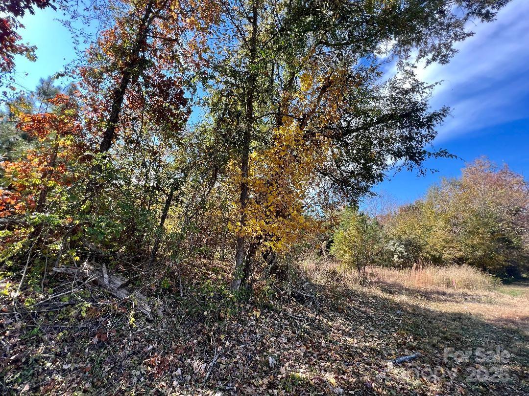 01 Old Camden Highway
