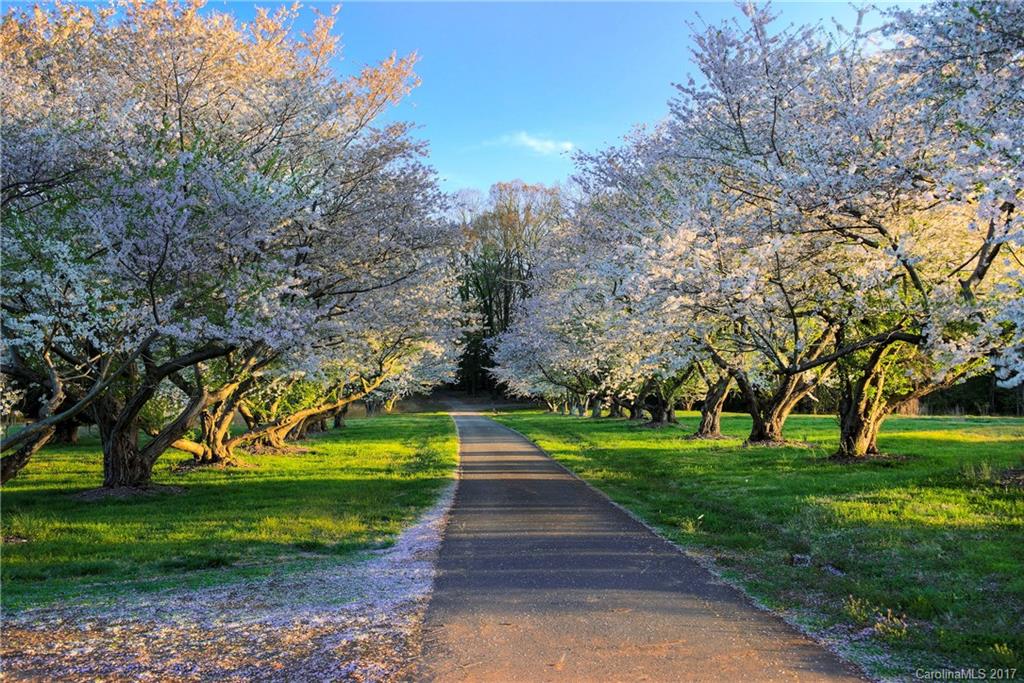 McLean - South Shore - Residential