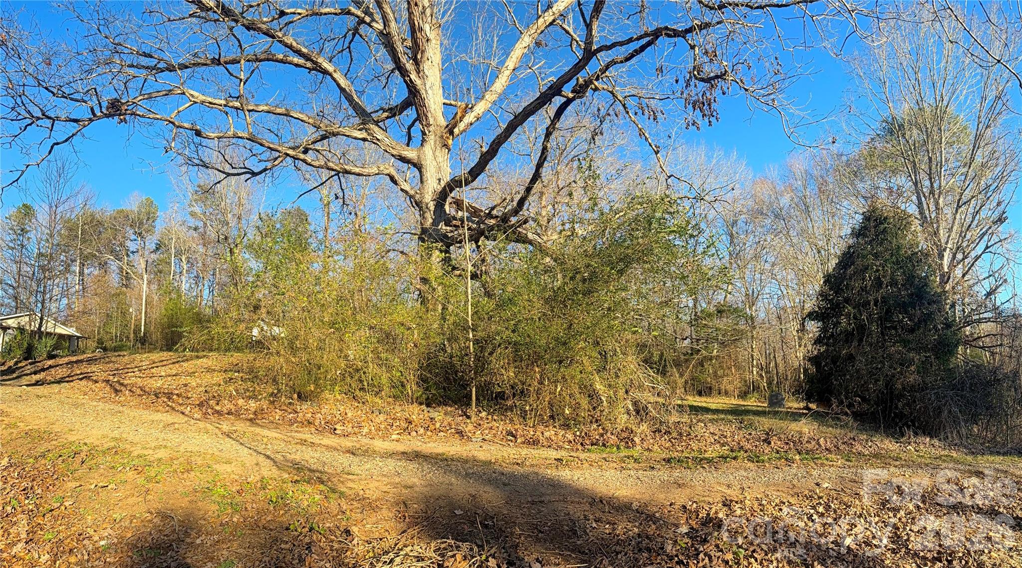 1776 Gastonia - Residential