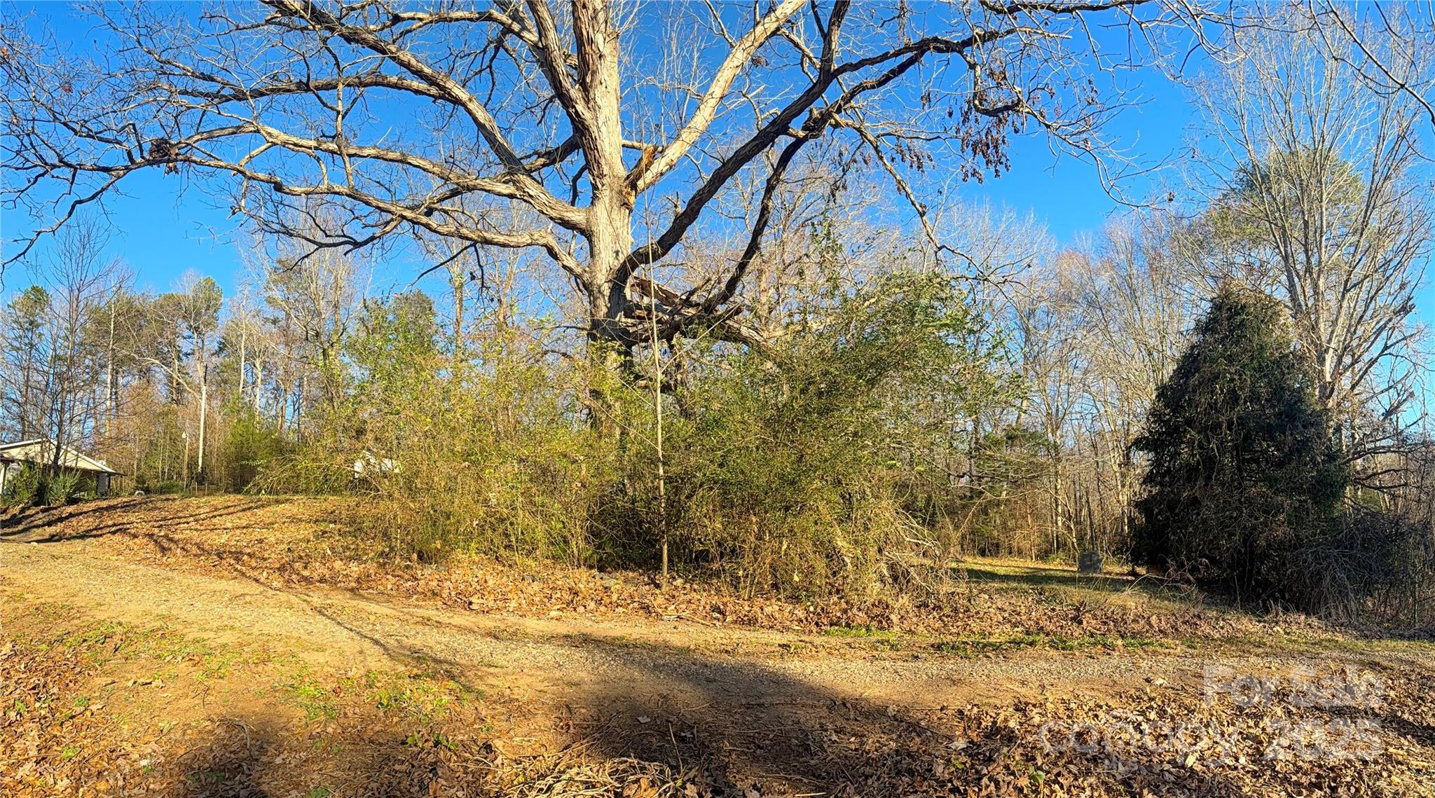 1776 Gastonia - Residential