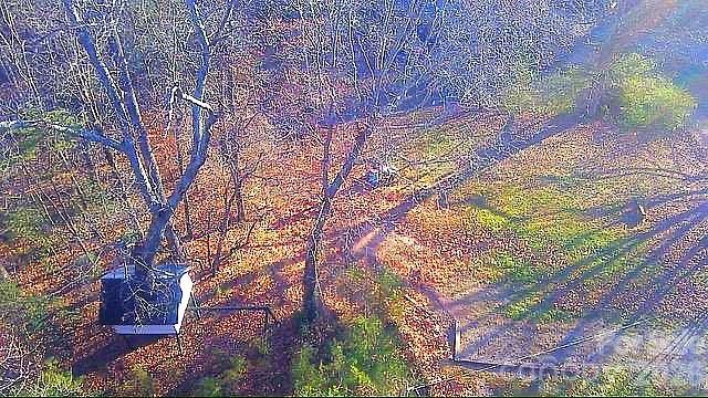 1776 Gastonia - Residential