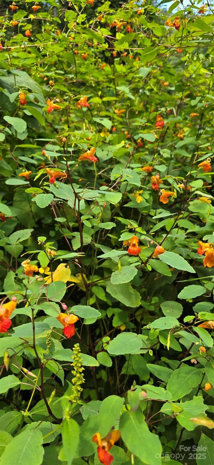 Greenridge Falls - Residential